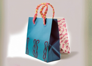 Unveiling the Wholesale Paper Bag Revolution: UK's Eco-Friendly Solution